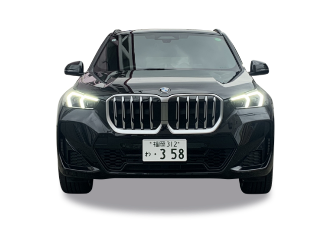 X1 xDrive 20dM Sport