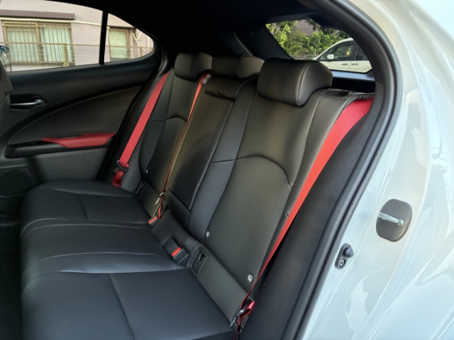 UX300hF SPORT Emotional Explorer