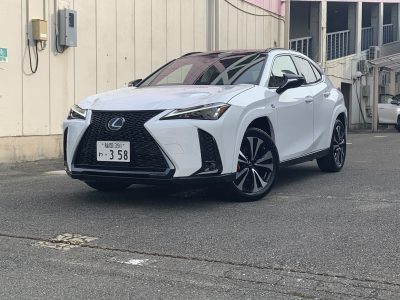 さかなくんの高級車レンタカー配達日記10〜レクサス UX250h F SPORT Emotional Explorer〜